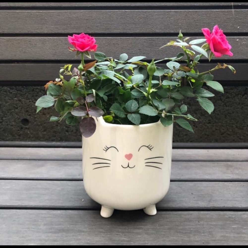 White Cat Ceramic Planter